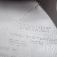 Renault Zoe Elementy poszycia kolumny kierowniczej 484716375R