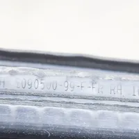 Tesla Model 3 Gummidichtung Coupé-Tür 109050099F