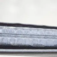 Tesla Model 3 Gummidichtung Coupé-Tür 109050099F