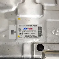 KIA Niro Bateria pojazdu hybrydowego / elektrycznego 100RES020043