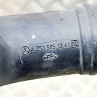 Mercedes-Benz R W251 Ohjaamon sisäilman ilmakanava A2515051361