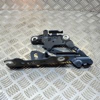 BMW 4 F32 F33 Cerniere del vano motore/cofano 7336699