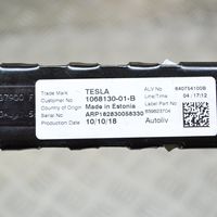 Tesla Model 3 Sicherheitsgurthöhenversteller 106813001B