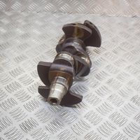 Volkswagen Polo V 6R Crankshaft 