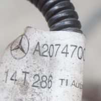 Mercedes-Benz E A207 Cablaggio per freni A2074700964