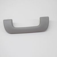 Audi A4 S4 B9 Front interior roof grab handle 4M0857607