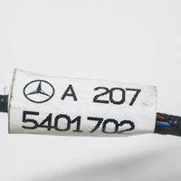 Mercedes-Benz E A207 Cablaggio per freni A2075401702