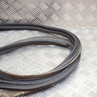 Toyota C-HR Trunk rubber seal (body) 67881F4010