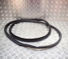 Toyota C-HR Trunk rubber seal (body) 67881F4010