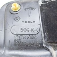 Tesla Model Y Listwa / Uszczelka szyby drzwi 151694200A