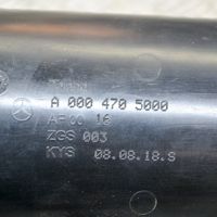 Mercedes-Benz C W205 Serbatoio a carbone attivo per il recupero vapori carburante A0004705000