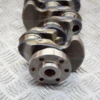 Audi A4 S4 B9 Crankshaft 