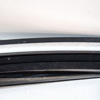 Volkswagen Tiguan Moulure de vitre de la porte avant 