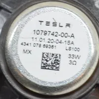 Tesla Model 3 Altoparlante portiera posteriore 107974200A