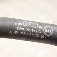 Audi A4 S4 B9 Przewód / Wąż chłodnicy 8W0145919C