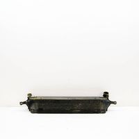 Renault Koleos I Radiatore intercooler 14461JG70B