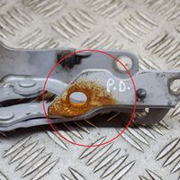 Hyundai Sonata Engine bonnet/hood hinges 