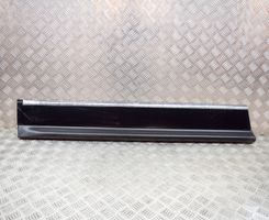 Citroen C6 Rivestimento della portiera anteriore (modanatura) 