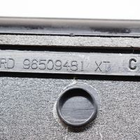 Citroen C6 Rear sill trim cover 96509481XT