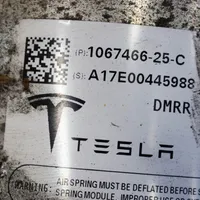 Tesla Model S Amortisseur de suspension pneumatique 106746625C