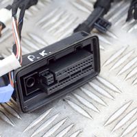 BMW X4 G02 Cableado de puerta delantera 8792270