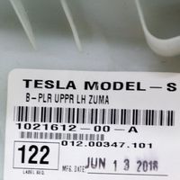 Tesla Model S Techo 100745800C