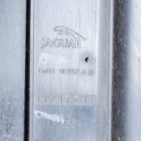 Jaguar XK - XKR Aktyvios anglies (degalų garų) filtras 6W939E857AG