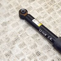 Toyota C-HR Rear shock absorber/damper 814902013245