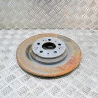 Tesla Model 3 Rear brake disc 