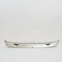 Mercedes-Benz 250 280 W108 Rivestimento del tergicristallo 