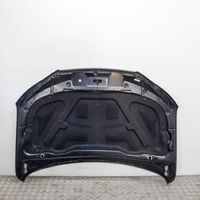 Hyundai Santa Fe Vano motore/cofano 664002B500