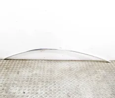 Tesla Model 3 Cubierta moldura embellecedora de la barra del techo 108351900D