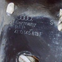 Audi A6 S6 C6 4F Radiatoru paneļa turētājs (televizora) 4F0145813F