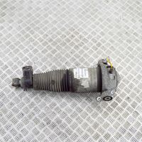 Audi Q7 4L Ammortizzatore/sospensione pneumatica 7L8616020C