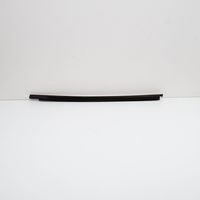 Audi A5 Rear door glass trim molding 