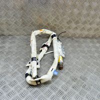 Ford Focus Airbag da tetto BM5114K158CA