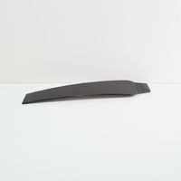 Audi Q8 Front door glass trim molding 4M8853290T94