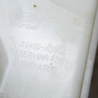 KIA Ceed Vase d'expansion / réservoir de liquide de refroidissement 25430A5800
