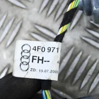 Audi A6 S6 C6 4F Elektryczny podnośnik szyby drzwi przednich 977273101