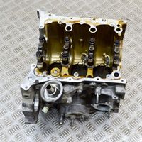 Honda Civic X Engine block 110005AYH00