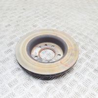 Volkswagen Amarok Rear brake disc 2N0615601