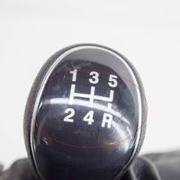 Ford Fiesta Ātrumu pārslēgšanas sviras dekoratīvā apdare (āda, uzgalis) H1BBA044H82CW