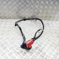 Honda CR-V Câble de batterie positif 32410TNYJ000