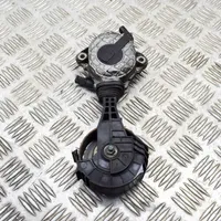 BMW 1 F20 F21 Napinacz paska wielorowkowego / Alternatora 7598832