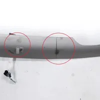 Tesla Model Y Rivestimento del tetto 160935400A