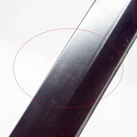 Tesla Model Y Rivestimento del vetro della portiera 149571100D