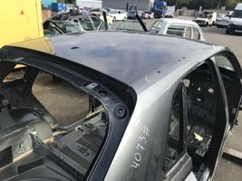 Audi Q3 F3 Dach 