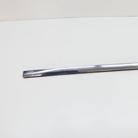 Tesla Model X Rivestimento del vetro della portiera 103216688D