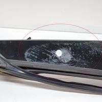 Tesla Model X Priekinių durų stiklo apdaila 109231198F