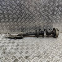 Audi A5 Front shock absorber/damper 8W0413031BA